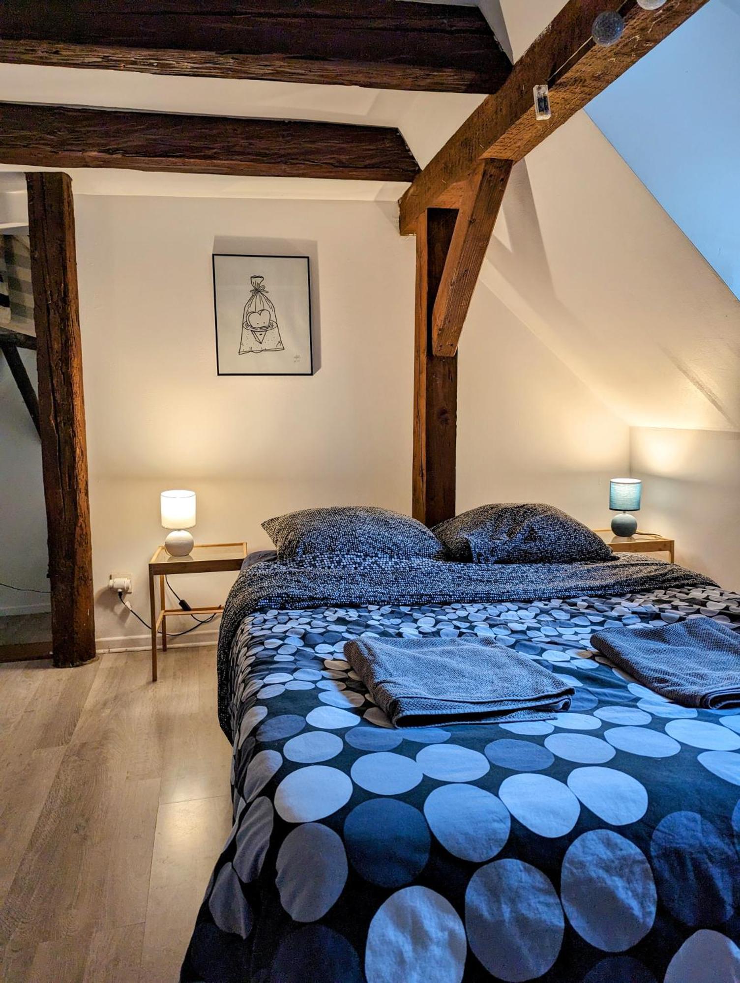 Triplex Place De La Cathedrale 斯特拉斯堡 外观 照片